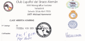 Exc 1ª / R.C.A.C / Mejor Hembra Club Español del Braco Alemán. XXXI Monográfica Nacional de Valladolid, Sabado 18 de Abril 2015, Juez: Michael Hammerer